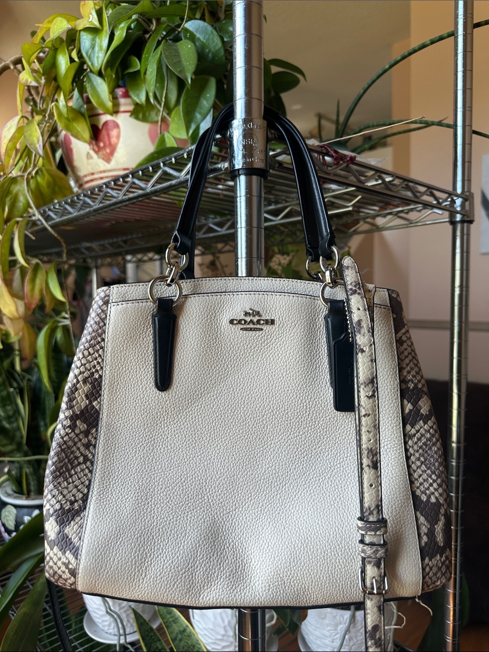 Coach F57557 Signature Christie Small Snake Embossed Leather Trim Bag